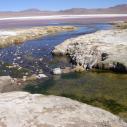 Laguna Colorada