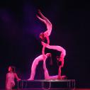 Acrobat show