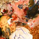 Nudibranch