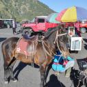 Bromo parking
