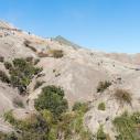 Bromo crater