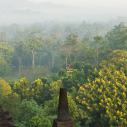 Borobudur