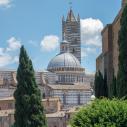 Sienna Duomo