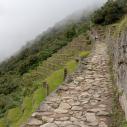 Inca trail