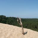 Dune du Pyla