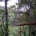 Hanging bridge