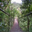 Hanging bridge