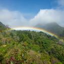 Rainbow over Totumas
