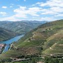 Vignes autour de Pinhão