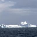 Premiers icebergs