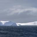 Premiers icebergs