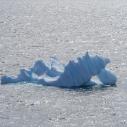 Petit iceberg