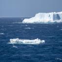 Pingouins sur un iceberg