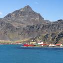 Grytviken