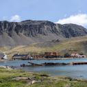 Baie de Grytviken