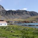 Baie de Grytviken