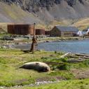 Baie de Grytviken