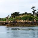Bréhat - côte ouest