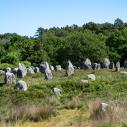 Carnac - Menhirs