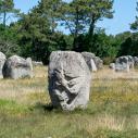 Carnac - Menhir