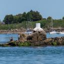 Golfe du Morbihan - le Faucheur