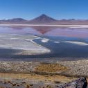 Laguna Colorada