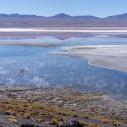 Laguna Colorada