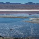 Laguna Colorada