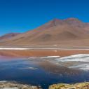 Laguna Colorada