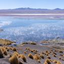 Laguna Colorada