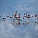 Laguna Colorada