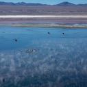 Laguna Colorada