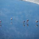 Laguna Colorada