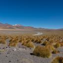 Altiplano