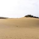 Dunes de Maspalomas