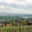 Vue sur Rüdesheim