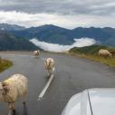 Col de Soulor (1474m) et Aubisque (1709m)