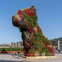 Puppy live-flowering sculpture