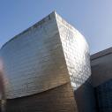 Museum architecture (by Frank Gehry)