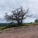 Enchanted Rock Park